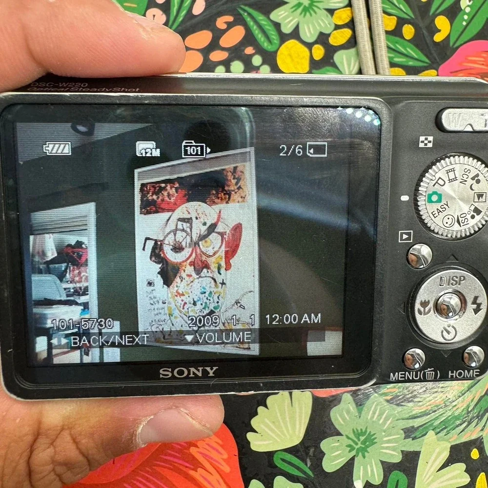 Sony Cyber-shot DSC-W220 12.1MP Digital Camera Black Carl Zeiss 4x Zoom Bundle